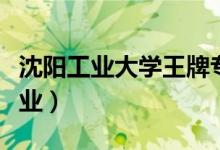 沈陽工業(yè)大學王牌專業(yè)是什么（有哪些優(yōu)勢專業(yè)）