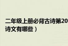 二年級上冊必背古詩第20首（人教版二年級下冊語文必背古詩文有哪些）