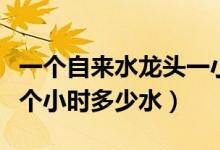 一個自來水龍頭一小時放多少水（水龍頭放一個小時多少水）