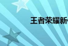 王者榮耀新體育動作有哪些