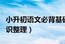 小升初語文必背基礎知識（小升初語文必背知識整理）