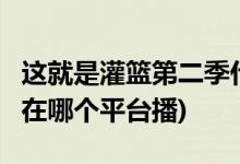 這就是灌籃第二季什么時(shí)候播出(這就是灌籃2在哪個(gè)平臺(tái)播)