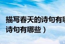 描寫春天的詩句有哪些請寫出來（描寫春天的詩句有哪些）