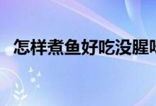 怎樣煮魚好吃沒腥味竅門（怎樣煮魚好吃）