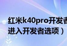 紅米k40pro開發(fā)者選項調(diào)試（紅米k40怎么進(jìn)入開發(fā)者選項）