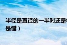 半徑是直徑的一半對(duì)還是錯(cuò)為什么(半徑是直徑的一半對(duì)還是錯(cuò))