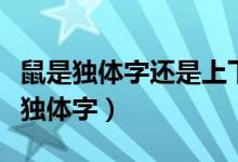 鼠是獨體字還是上下結構（鼠是上下結構還是獨體字）