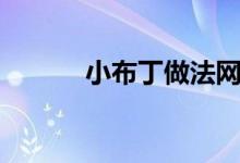 小布丁做法網紅（小布丁做法）