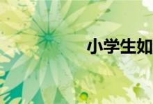 小學(xué)生如何學(xué)好數(shù)學(xué)？