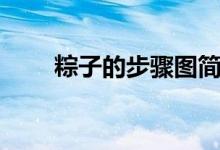 粽子的步驟圖簡(jiǎn)筆畫(huà)（粽子的步驟）