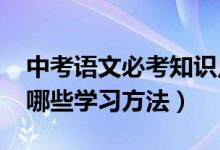 中考語文必考知識點2021講解（中考語文有哪些學習方法）