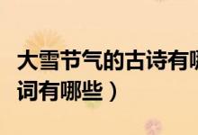 大雪節(jié)氣的古詩(shī)有哪些(關(guān)于大雪節(jié)氣的古詩(shī)詞有哪些)