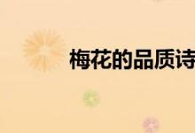 梅花的品質(zhì)詩句(梅花的品質(zhì))