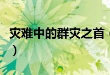 災難中的群災之首（被稱為群災之首的是什么）