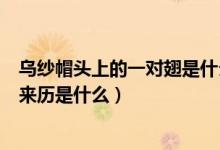 烏紗帽頭上的一對(duì)翅是什么意思（請(qǐng)問烏紗帽上的一對(duì)翅的來(lái)歷是什么）