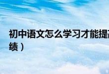 初中語(yǔ)文怎么學(xué)習(xí)才能提高成績(jī)(初中語(yǔ)文怎么學(xué)能提高成績(jī))