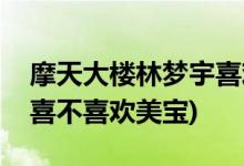 摩天大樓林夢(mèng)宇喜歡美寶嗎(摩天大樓林夢(mèng)宇喜不喜歡美寶)