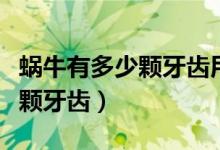 蝸牛有多少顆牙齒用顯微鏡來(lái)看（蝸牛有多少顆牙齒）