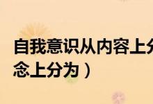 自我意識從內(nèi)容上分為哪三種（自我意識在觀念上分為）