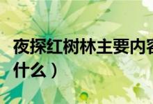夜探紅樹林主要內(nèi)容（夜探紅樹林主要內(nèi)容是什么）