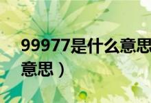 99977是什么意思網(wǎng)絡(luò)語言(99977是什么意思)