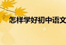 怎樣學(xué)好初中語(yǔ)文（怎樣學(xué)好初中語(yǔ)文）