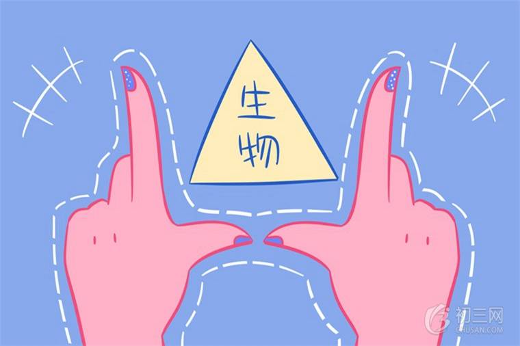 為什么說蛇是脊椎動(dòng)物