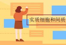 中考快訊：實質細胞和間質細胞的區(qū)別