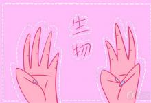 中考快訊：細胞核的結構和功能 細胞核的主要功能是什么