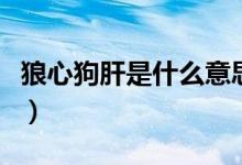 狼心狗肝是什么意思?。ɡ切墓犯问鞘裁匆馑迹?class=