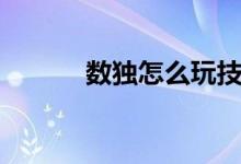 數(shù)獨怎么玩技巧(數(shù)獨怎么玩)