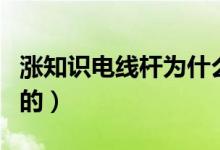 漲知識(shí)電線桿為什么是圓的（電線桿為啥是圓的）