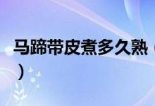 馬蹄帶皮煮多久熟（馬蹄帶皮煮多長(zhǎng)時(shí)間能吃）