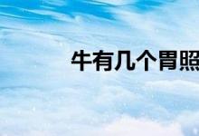 牛有幾個胃照片(牛有幾個胃)