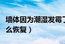 墻體因為潮濕發(fā)霉了怎么辦（墻體受潮發(fā)霉怎么恢復）
