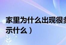 家里為什么出現(xiàn)很多小螞蟻（家里出現(xiàn)螞蟻預(yù)示什么）