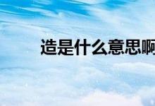 造是什么意思?。▃ao是什么意思)