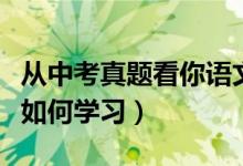 從中考真題看你語(yǔ)文的學(xué)習(xí)問(wèn)題（中考語(yǔ)文該如何學(xué)習(xí)）