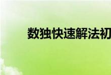 數(shù)獨(dú)快速解法初級（數(shù)獨(dú)快速解法）