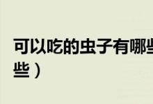 可以吃的蟲(chóng)子有哪些視頻（可以吃的蟲(chóng)子有哪些）