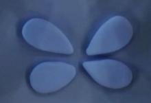 蝴蝶泥手工臺(tái)階