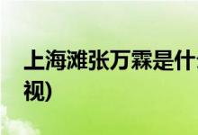 上海灘張萬霖是什么電視(上海灘張萬霖的電視)