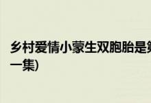 鄉(xiāng)村愛(ài)情小蒙生雙胞胎是第幾集(鄉(xiāng)村愛(ài)情小蒙生雙胞胎是哪一集)