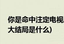 你是命中注定電視劇大結局(你是命中注定的大結局是什么)