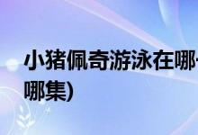 小豬佩奇游泳在哪一集(小豬佩奇游泳在動畫哪集)