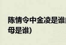 陳情令中金凌是誰(shuí)的孩子(陳情令中金凌的父母是誰(shuí))