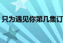 只為遇見(jiàn)你第幾集訂婚(只為遇見(jiàn)你劇情介紹)