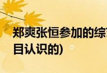 鄭爽張恒參加的綜藝叫什么(鄭爽張恒哪個(gè)節(jié)目認(rèn)識的)