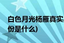 白色月光楊雁真實(shí)身份(白色月光楊雁真實(shí)身份是什么)