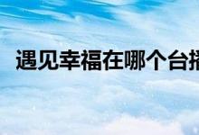 遇見幸福在哪個臺播出(遇見愛情哪個臺播)